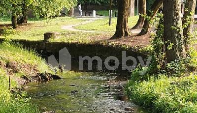 Фото: c785cb6d-826a-4d7b-917f-3caa497d6f2d.jpg