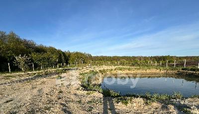 поселок Нивенское, ул Яблочная , c8b51d15-4aba-4e07-992b-0549b18821cf.jpg