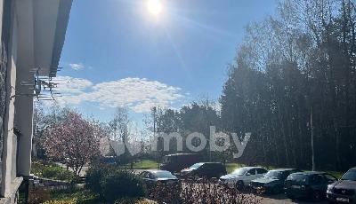 Фото: c9cf3c19-0e93-4993-91a7-89996026d211.jpg