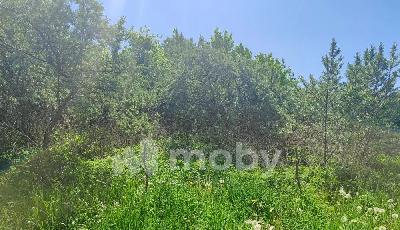 поселок Богдановка, ул Мелихова 17, cb77f2d6-20d6-4ece-a9b1-613f39946fcd.jfif