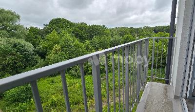 Калининград, ул Сержанта Мишина 81, ccceb03b-38dc-4a31-b6c7-527c12f78784.jpg