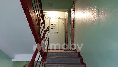 Фото: cdbb91c9-72c6-4a44-966f-ac12d21cec82.jpeg
