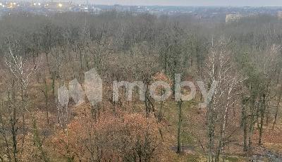 г Калининград, ул Генерал-фельдмаршала Румянцева 11, cfe472f3-60d0-4d6b-a4c2-457786bd8389.jpg