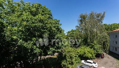 Фото: d068c2e6-eff0-4230-8e98-6485976c0c36.jpg