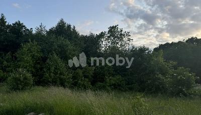 поселок Малое Васильково,  , d1841671-0edc-4272-9ab9-771dfa4a299c.jpg