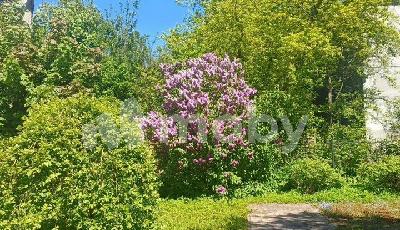 Калининград, ул Тургенева 12А, d1ca01e3-6a95-4404-8b56-3148832f2c8c.jpg