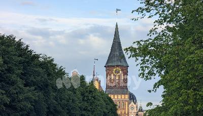 Фото: d25ae8fb-bb5e-46a8-a1be-c00bcb1916c7.jpg