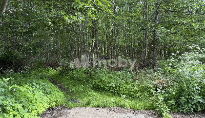 поселок Морское, ул Набережная , d27295ad-2d6b-47c5-a0d6-99d5e6d3f140.png