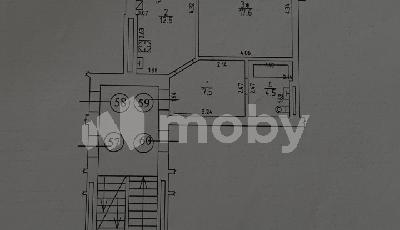 Фото: d360f0cd-522a-4edd-be93-3e3b5bf1b166.jpg
