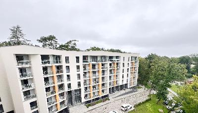 Фото: d36dfca0-10e8-46ec-8835-2311cb4917e2.jpeg