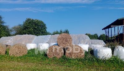 Раздольное посёлок,  1, d3a2c5d2-5e59-4319-a9a7-ade111b46d87.jpg