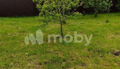 поселок Свободное, ул Иосифа Бродского 2, d4998706-66cc-47bc-a1e0-f0d999191b8c.jpg