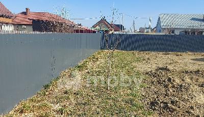 поселок Голубево, ул Смоленская 55, d4a865bd-079e-4f3b-8a55-6129ec56c646.jpg