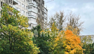 г Калининград, ул Л.Иванихиной 4, d4e38d88-6d32-4d42-8b49-add449ed180a.png