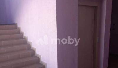 Фото: d5646f7d-7169-4d96-b649-38782b6a2fbe.jpg