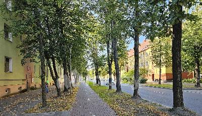 г Калининград, ул Павлика Морозова 74, d6c7554c-61e3-42fc-bfeb-93d0816efc7a.jpeg