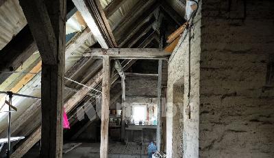 Фото: d82284ff-dcee-4bd4-919b-6407fef494ab.jpg