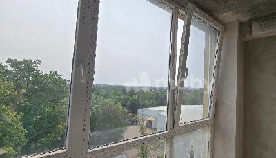 Калининград, ул А.Невского 241, d9ad9df5-2d74-4b34-af31-8c612cf02bda.jpg