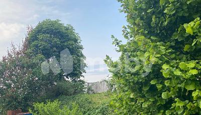 поселок Константиновка, ул Центральная , d9cbb02a-3df2-450d-9ffb-6555dac39424.jpg