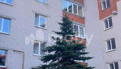 г Калининград, ул Еловая аллея 62, d9f99b10-6b4a-48ef-93e0-e4ad31a73eba.png