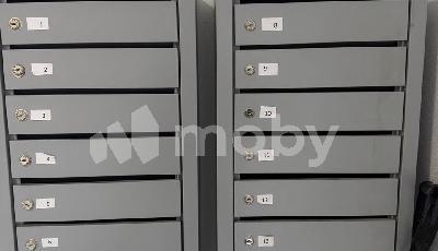 Фото: db2f1804-082b-4b3d-9fd9-ed9ce38486f0.jpg