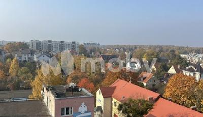 Фото: db6f646c-5705-4ed6-bdbc-339bef4e0e25.jpg