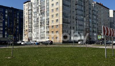 Фото: dda00d5e-dec3-4f18-9969-bbdbe19102d9.jpg