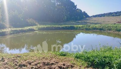 Раздольное посёлок,  1, ddb31cd3-a54b-4e34-90fe-7e6f86787c98.jpg