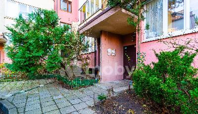 Фото: e027a7e9-5ed5-4abc-ac86-184f6319c9e4.jpg