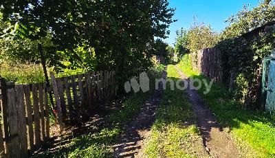 г Калининград, Тупиковый пр-д , e48faf45-6c65-4256-bf3e-d7936232a41e.jpg