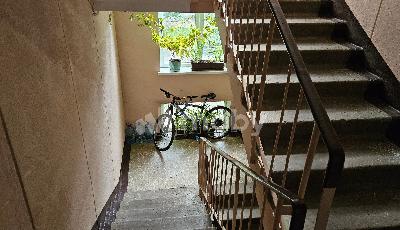Фото: e5f1e3c0-c3a6-4a29-bdb7-95ea27ba0943.jpg