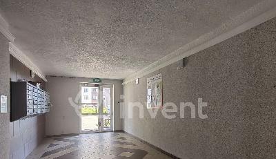 Фото: e6d74963-a18d-4c4e-b30b-627f6b256daf.jpg