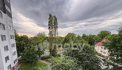 г Калининград, Победы проспект 87, e76fa353-7857-4c91-9ee1-78371ae26e5d.jpg