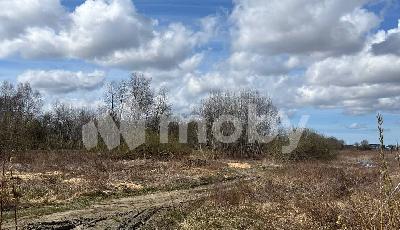 поселок Холмогоровка,  , e792aec4-a22f-4529-af78-112e4f20585f.jpeg