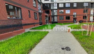 Фото: e7990ffc-385e-4b0a-9a44-d4da72c8e8c3.jpg