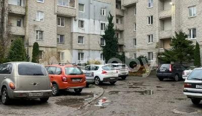 Фото: e8cb17f7-c04f-43a9-abfa-21c178fbf8a7.jpg
