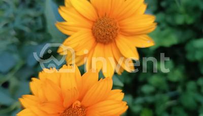 Фото: e93cc862-4073-4cca-bfad-e59d17bc80ba.jpg