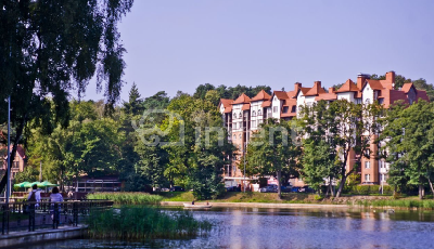 Фото: ee297844-0fa7-4200-a358-66ba9d77c83e.PNG