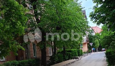 Фото: ee9b7ce8-89ff-4782-a7f7-d63299de8a26.jpg