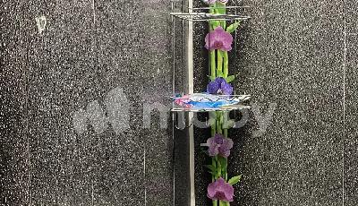 г Калининград, ул Еловая аллея 65, eea98a4e-7f7a-46c1-87ad-ffc43626d255.jpg