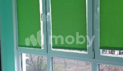 Фото: efcc0b3f-6c52-432d-98e3-4e8c9eeba962.jpg