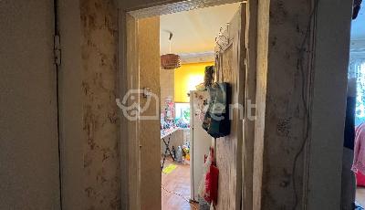 Фото: f095b63b-f00f-4e22-a30f-f72fa4a951c0.jpg