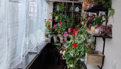 г Калининград, ул У.Громовой 12, f0e81b5c-3c50-4c9d-be14-727304e0da48.jpeg
