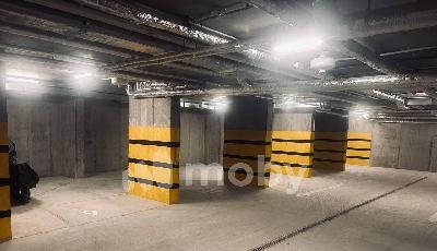 Фото: f1e95ff8-b60f-4dfa-8085-2d3dfb6cf362.jpg