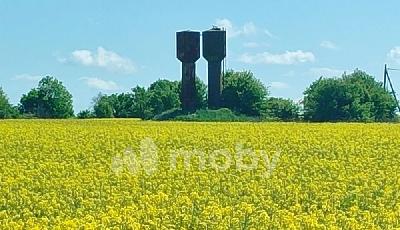 поселок Богдановка, ул Мелихова 17, f25a6cd4-7530-4696-9fef-be2af56be75a.jfif