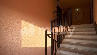 Фото: f4515d47-7746-4db1-8a87-fda32d5220d0.jpg