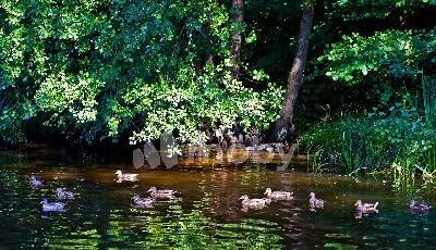 г Светлогорск, Калининградский проспект 71А, f479050d-d40a-4222-b70e-55c821c1475c.jpg