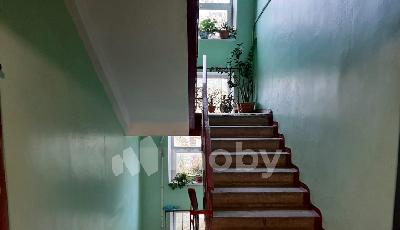 Фото: f66e0a22-84f5-4dd7-bdc3-f300f81561a0.jpeg