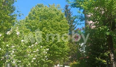 Калининград, ул Тургенева 12А, f6a6cd3e-bdbd-4ff6-837d-a1b0a14bd0d3.jpg