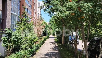 г Калининград, ул О.Кошевого 15, f730c7e6-3d6b-4446-b302-23c00041120f.jpg